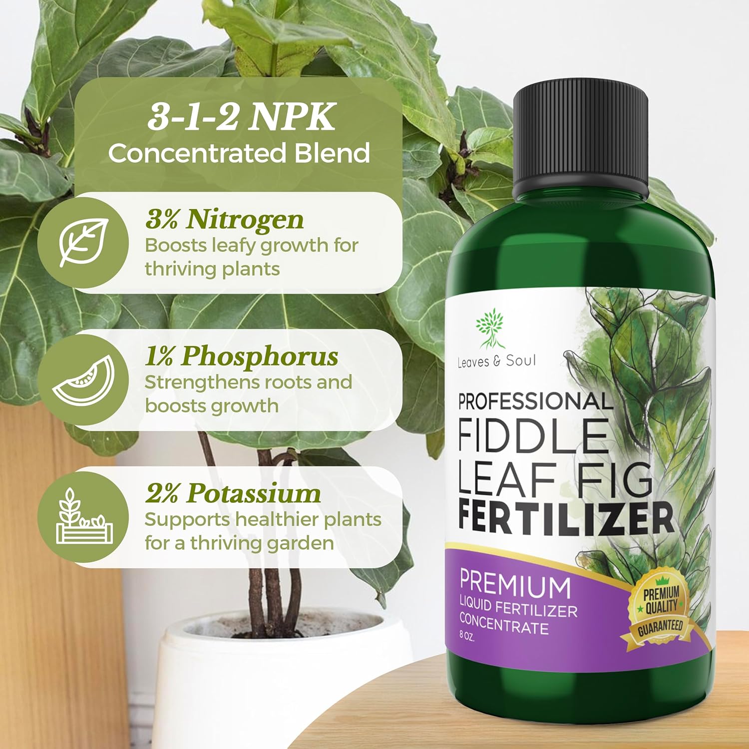 fertiliser for fiddle leaf fig Professional Liquid Fiddle Leaf Fig Plant Fertilizer