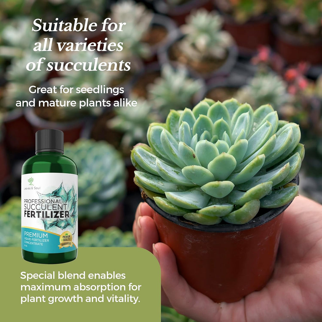 Professional Liquid Succulent Plant Fertilizer