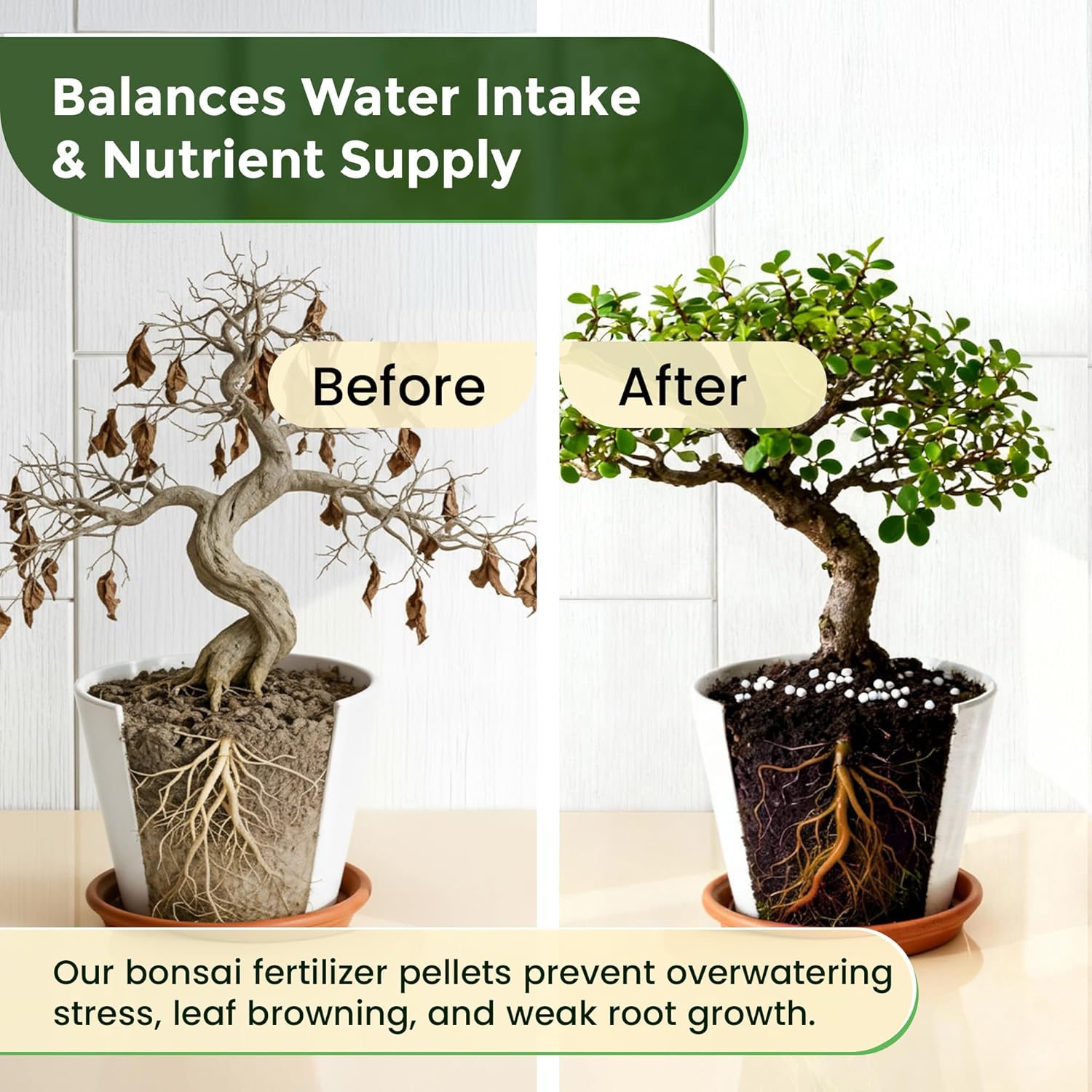 good fertilizer for bonsai trees Bonsai Fertilizer Pellets