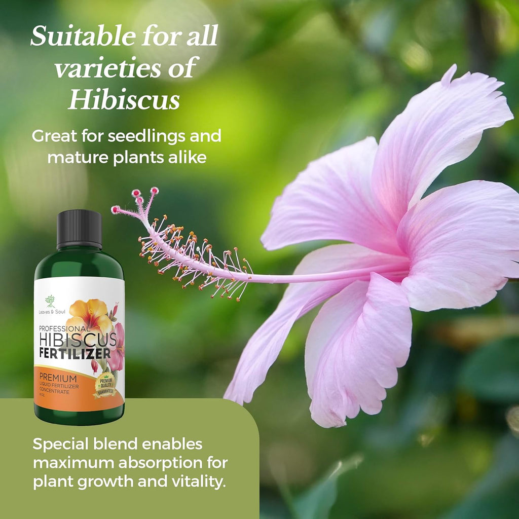 Leaves and Soul Hibiscus Professional Liquid Fertilizer - Complete 3-5-4 Nutrient Blend Concentrate for Enhanced Blooming & Growth - Perfect for Garden & Indoor Plants, New & Improved Blend - 8 oz