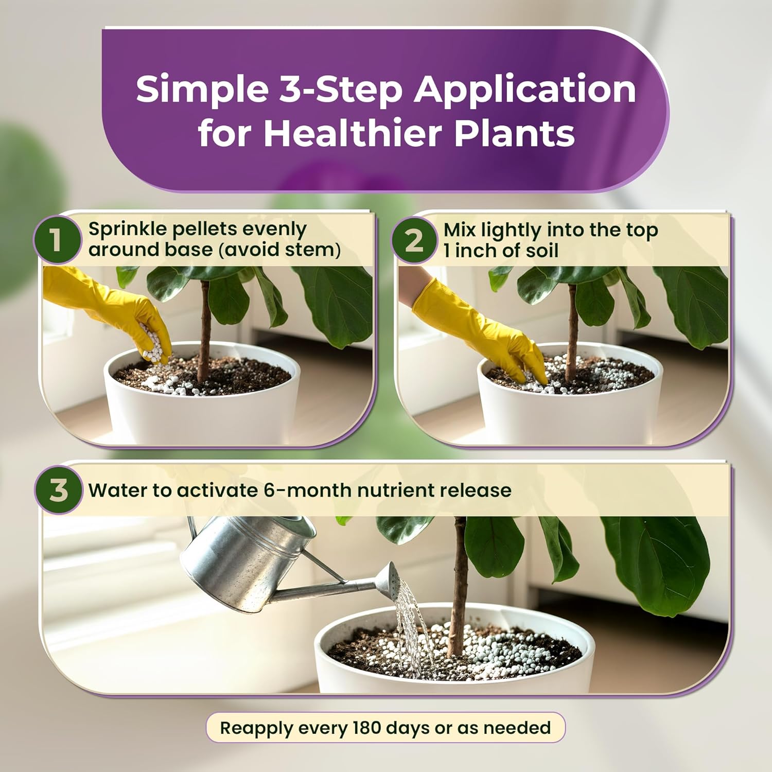 Fiddle Leaf Fig and House Plant Fertilizer Pellets | 16-5-11 Slow Release