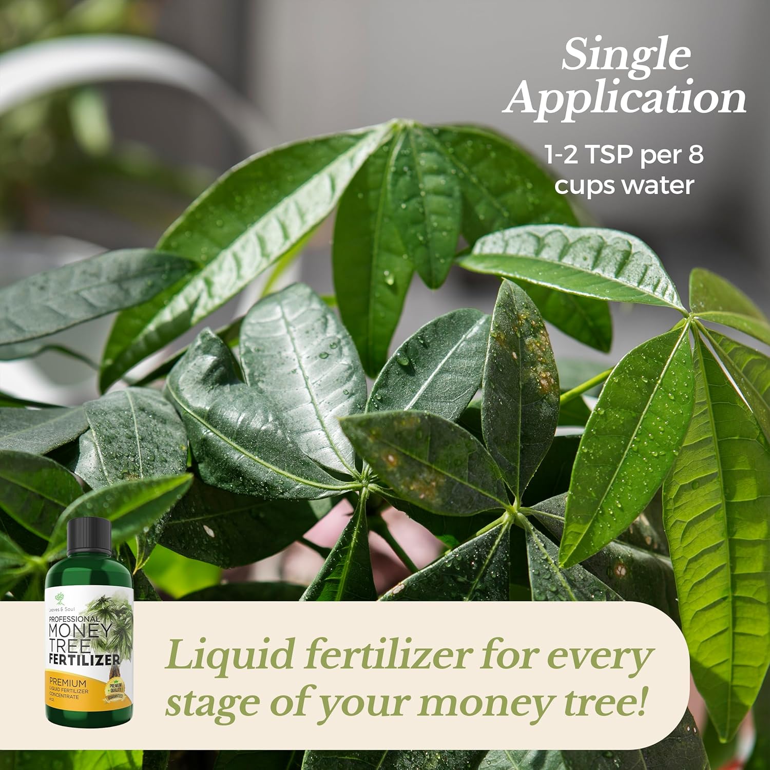 Professional Liquid Money Tree Fertilizer