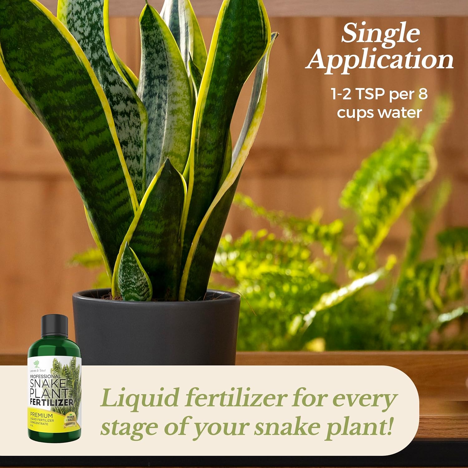 coffee water for snake plant Professional Liquid Snake Plant Fertilizer – Leaves and Soul