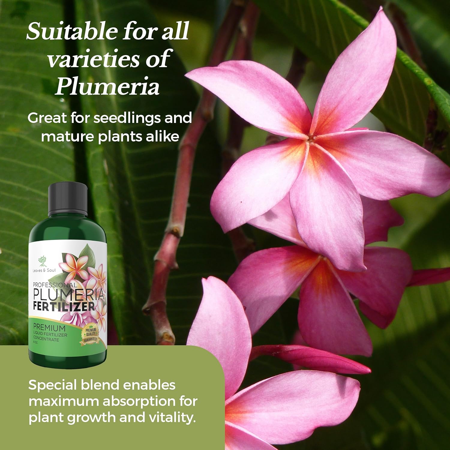 Leaves and Soul Plumeria Professional Liquid Fertilizer - Complete 3-5-4 Nutrient Blend Concentrate for Enhanced Blooming & Growth - Perfect for Garden & Indoor Plants, Easy Application - 8 oz