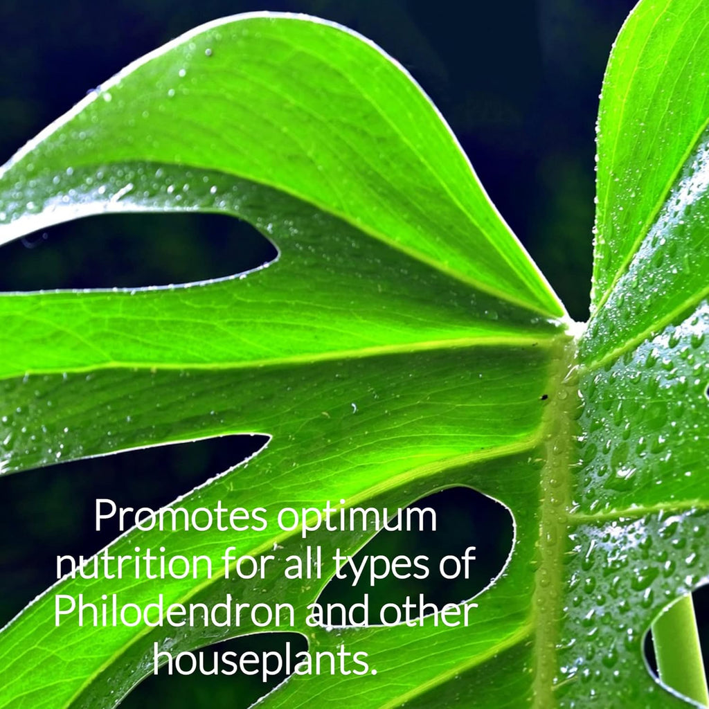 philodendron plant food Professional Liquid Philodendron Plant Fertilizer