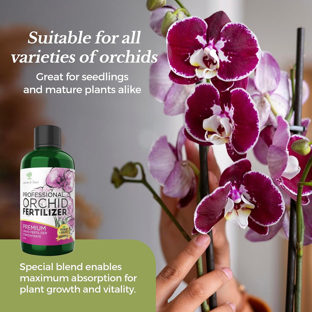 Professional Liquid Indoor Orchid Fertilizer