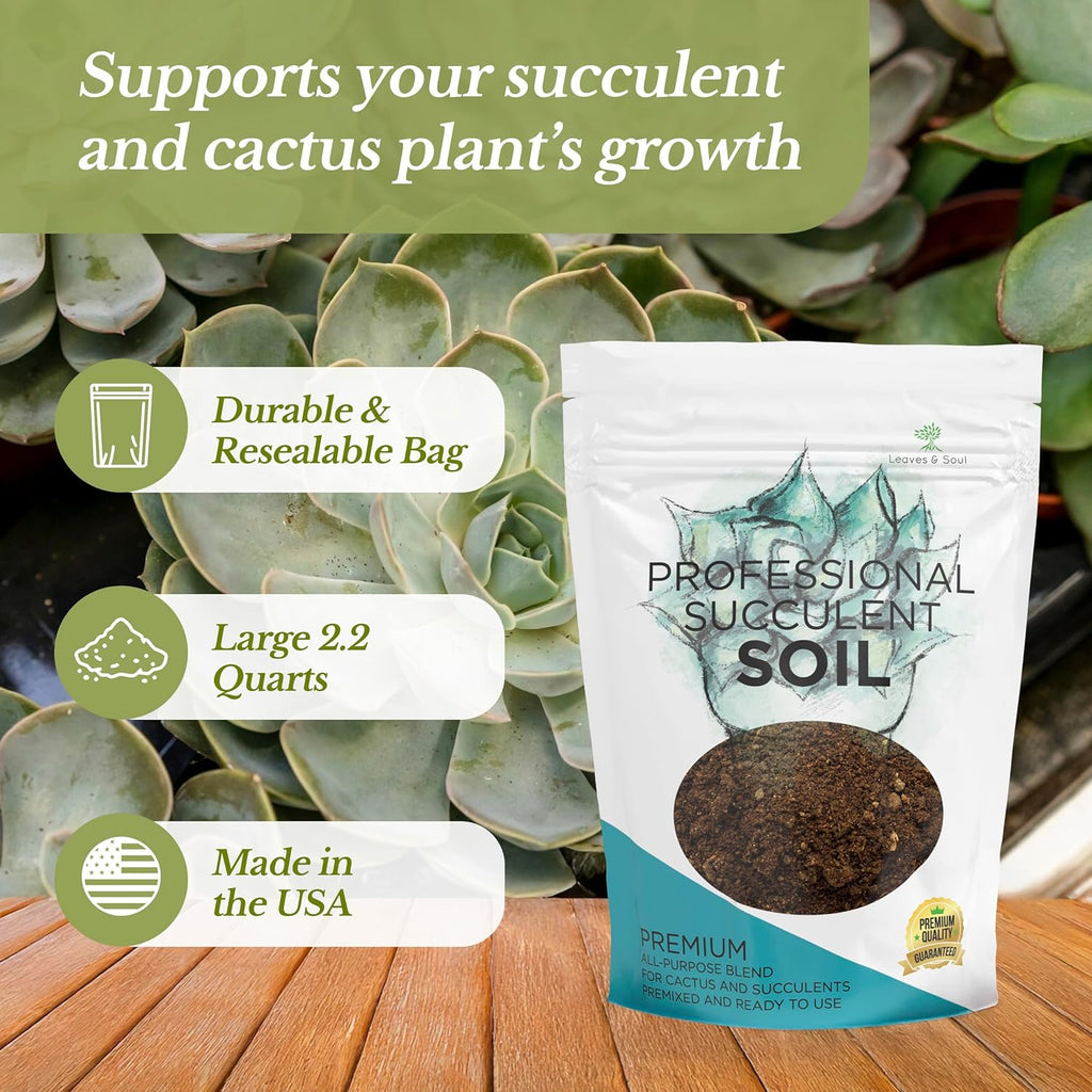 Premium Succulent Soil All Purpose Blend | Pre-mixed 2.2 and 8.2 Dry Quarts