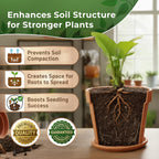 Professional Peat Moss for Container and Garden Plants