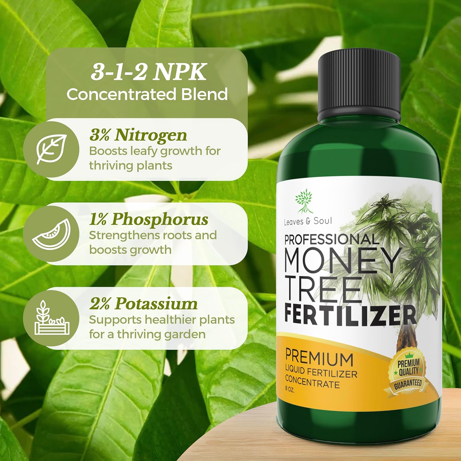 money tree plant fertilizer Professional Liquid Money Tree Fertilizer