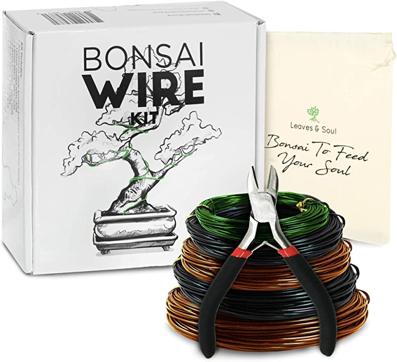 Complete Bonsai Set | BLUE - Soil, Fertilizer, Blue Pot and Wire Kit
