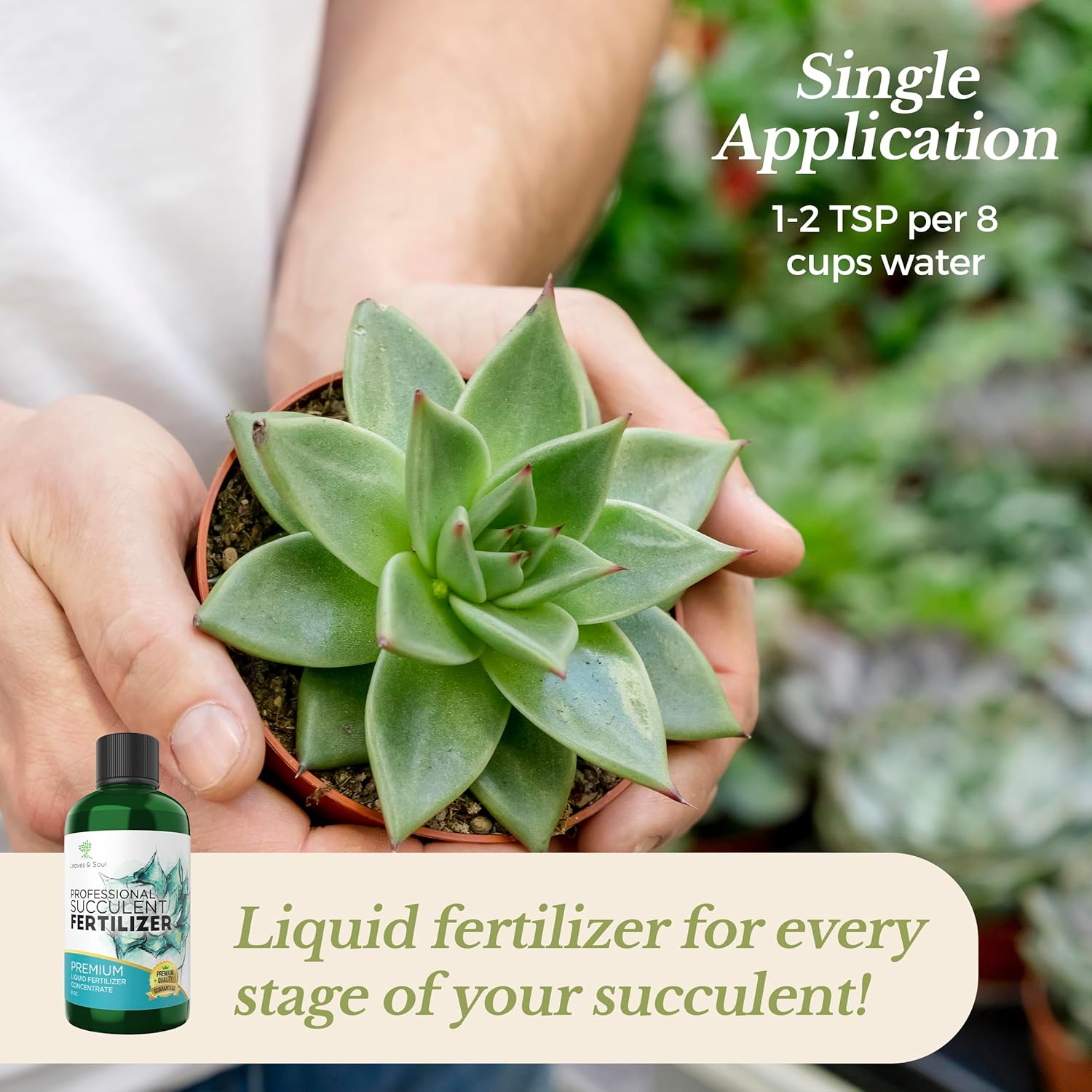 Professional Liquid Succulent Plant Fertilizer