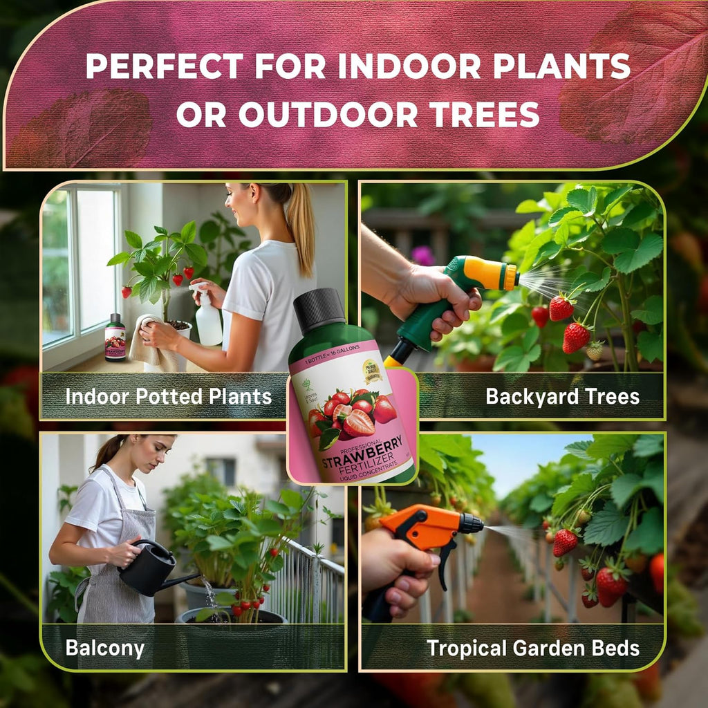 Leaves and Soul Professional Strawberry Fertilizer Liquid Concentrate - 6-4-6 Blend Liquid Garden Fertilizer for Strawberries - Plant Food for Strawberry Bushes and Plants