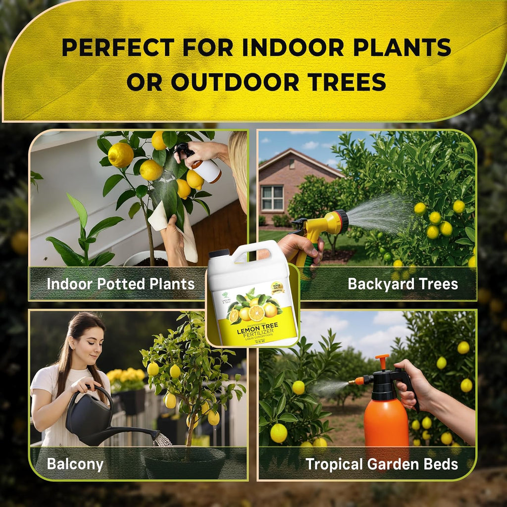 Leaves and Soul Professional Lemon Tree Fertilizer Liquid Concentrate - 6-4-6 Blend for Fruit Tree Fertilizer, Garden - Liquid Plant Food for Lemon Trees in Pots or Outdoors