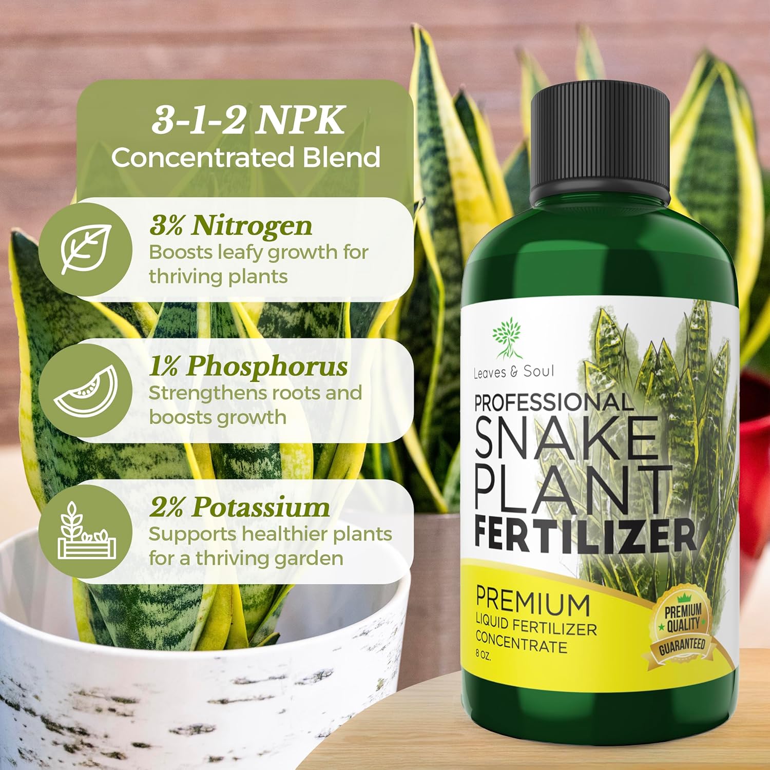best fertilizer for snake plant Professional Liquid Snake Plant Fertilizer – Leaves and Soul