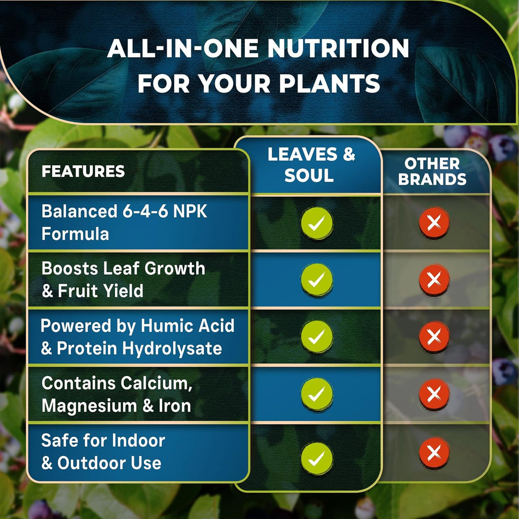 Leaves and Soul Professional Blueberry Fertilizer Liquid Concentrate - 6-4-6 Blend Liquid Garden Fertilizer for Blueberry - Plant Food for Blueberry Bushes and Plants