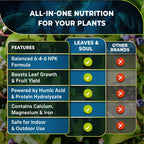 Leaves and Soul Professional Blueberry Fertilizer Liquid Concentrate - 6-4-6 Blend Liquid Garden Fertilizer for Blueberry - Plant Food for Blueberry Bushes and Plants