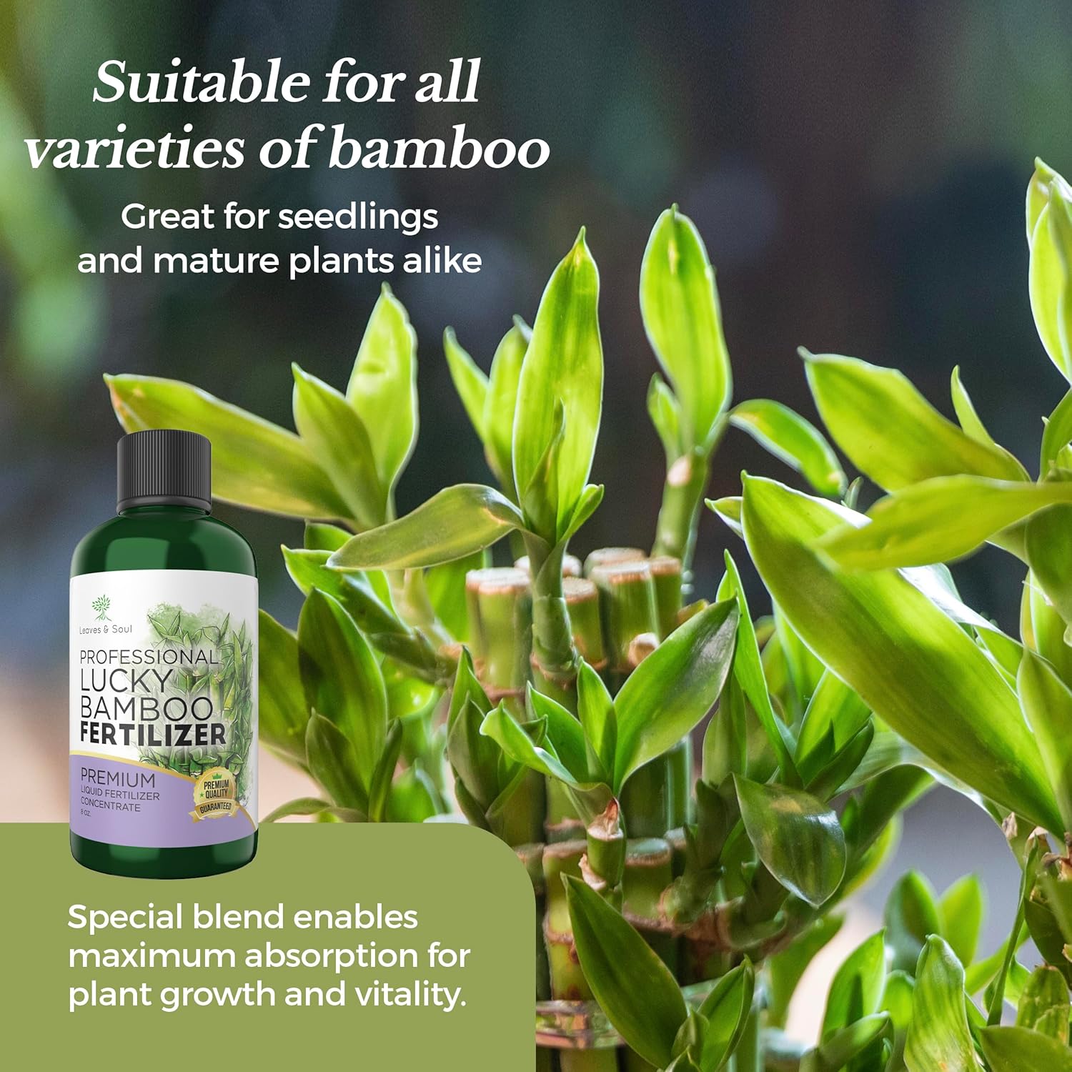 Professional Liquid Lucky Bamboo Fertilizer | 3-1-2 Concentrate for Flowering Plants | Multi-Purpose Blend & Gardening Supplies | 8 oz Bottle