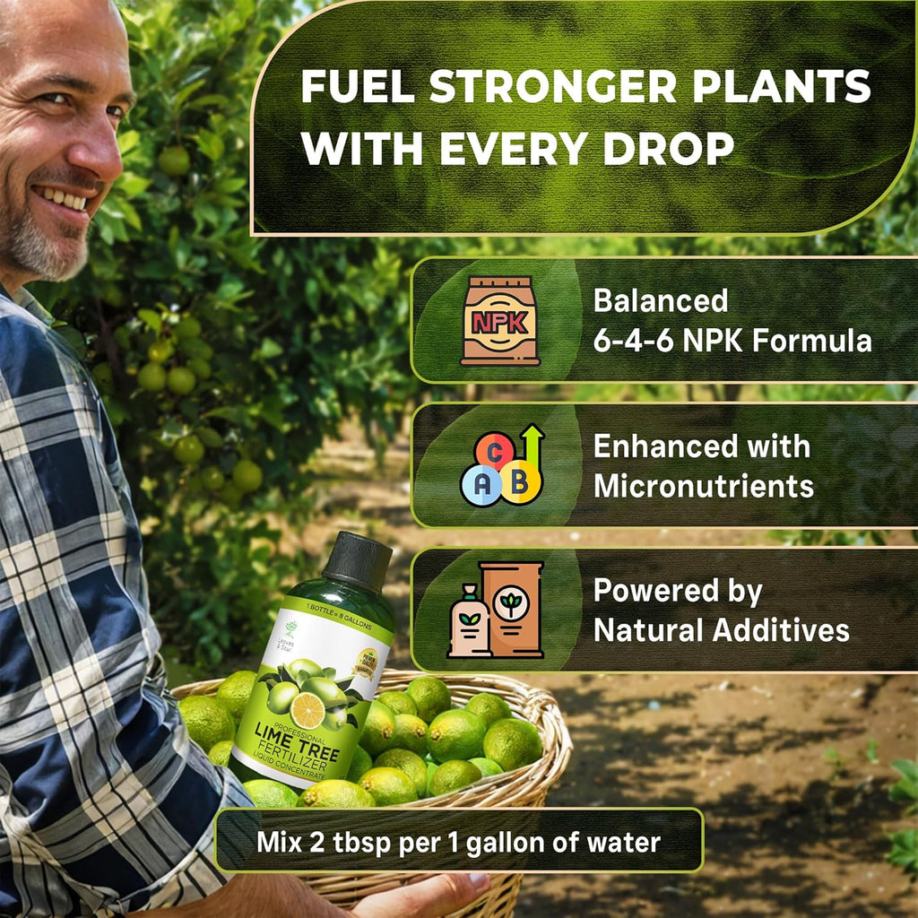 Leaves and Soul Professional Lime Tree Fertilizer Liquid Concentrate - 6-4-6 Blend for Fruit Tree Fertilizer, Garden - Liquid Plant Food for Lime Trees in Pots or Outdoors