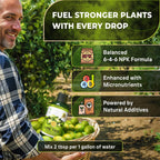 Leaves and Soul Professional Lime Tree Fertilizer Liquid Concentrate - 6-4-6 Blend for Fruit Tree Fertilizer, Garden - Liquid Plant Food for Lime Trees in Pots or Outdoors