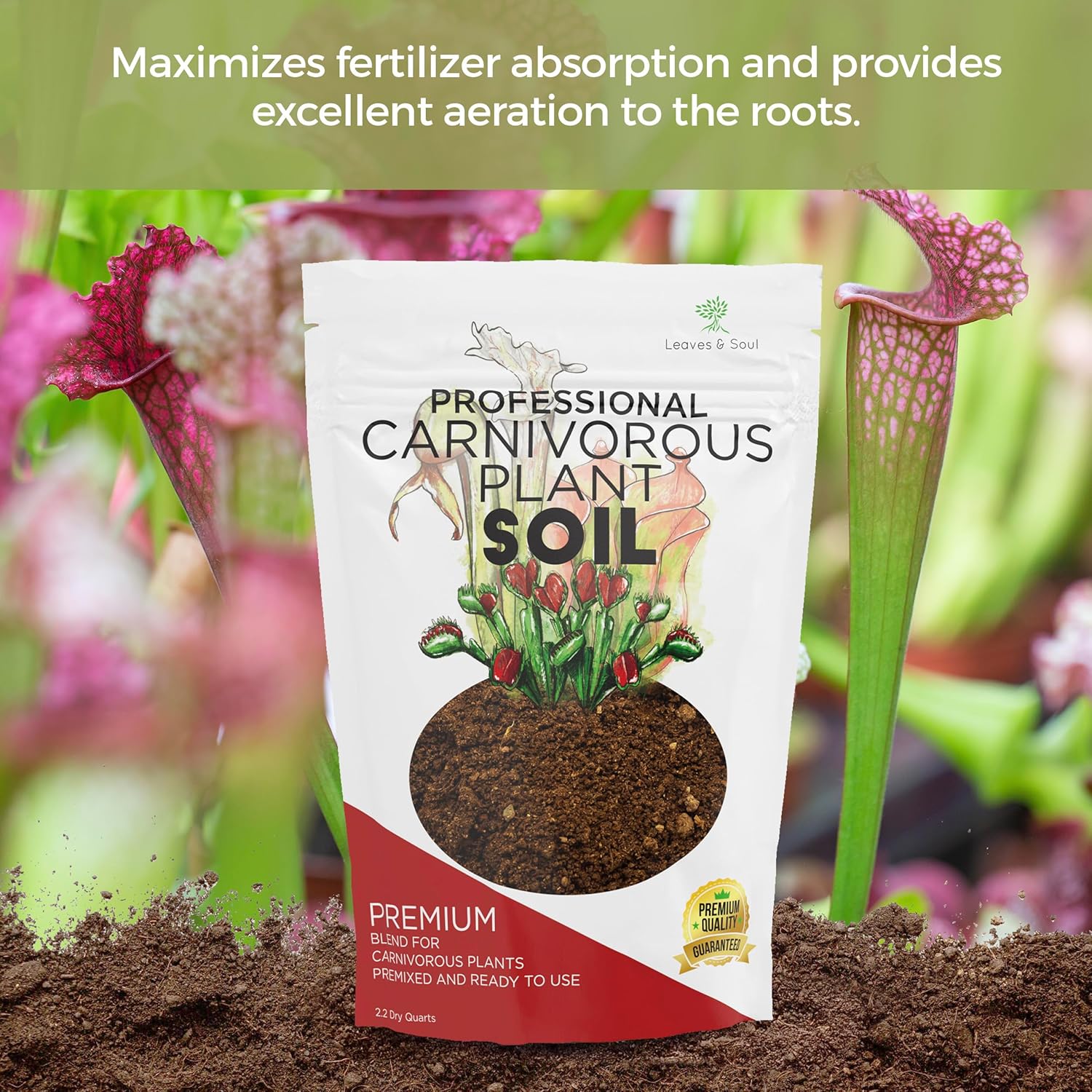 fertilizer for pitcher plants Professional Carnivorous Plant Soil
