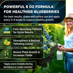 Leaves and Soul Professional Blueberry Fertilizer Liquid Concentrate - 6-4-6 Blend Liquid Garden Fertilizer for Blueberry - Plant Food for Blueberry Bushes and Plants