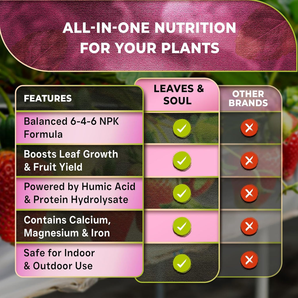 Leaves and Soul Professional Strawberry Fertilizer Liquid Concentrate - 6-4-6 Blend Liquid Garden Fertilizer for Strawberries - Plant Food for Strawberry Bushes and Plants