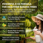 Leaves and Soul Professional Banana Tree Fertilizer Liquid Concentrate - 6-4-6 Blend for Fruit Tree Fertilizer, Garden - Liquid Plant Food for Banana Trees in Pots or Outdoors