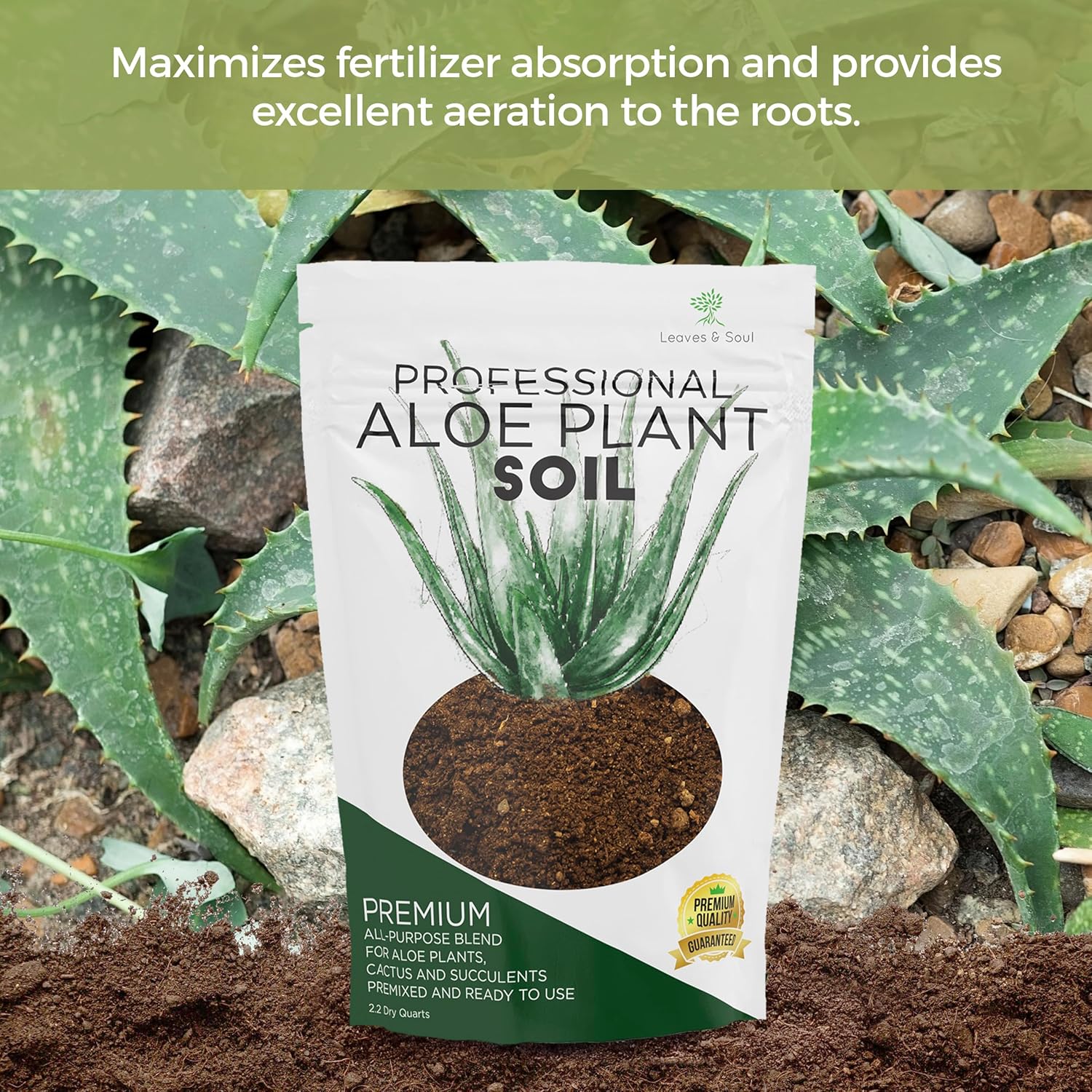 Professional Aloe Plant Soil | Pre-Mixed 2.2 Dry Quarts