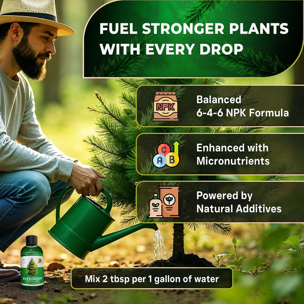 Leaves and Soul Professional Evergreen Tree Fertilizer Liquid Concentrate - 6-4-6 Blend for Evergreens, Garden Use - Liquid Plant Food for Evergreen Trees and Shrubs Outdoors