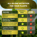 Leaves and Soul Professional Banana Tree Fertilizer Liquid Concentrate - 6-4-6 Blend for Fruit Tree Fertilizer, Garden - Liquid Plant Food for Banana Trees in Pots or Outdoors