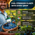 Leaves and Soul Professional Blueberry Fertilizer Liquid Concentrate - 6-4-6 Blend Liquid Garden Fertilizer for Blueberry - Plant Food for Blueberry Bushes and Plants