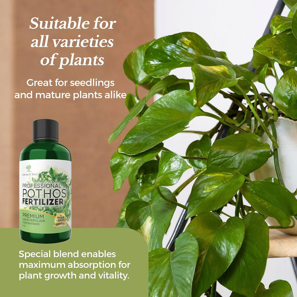 Professional Liquid Pothos Plant Fertilizer | 3-1-2 Concentrate for Epipremnums and Houseplants | 8 oz Bottle