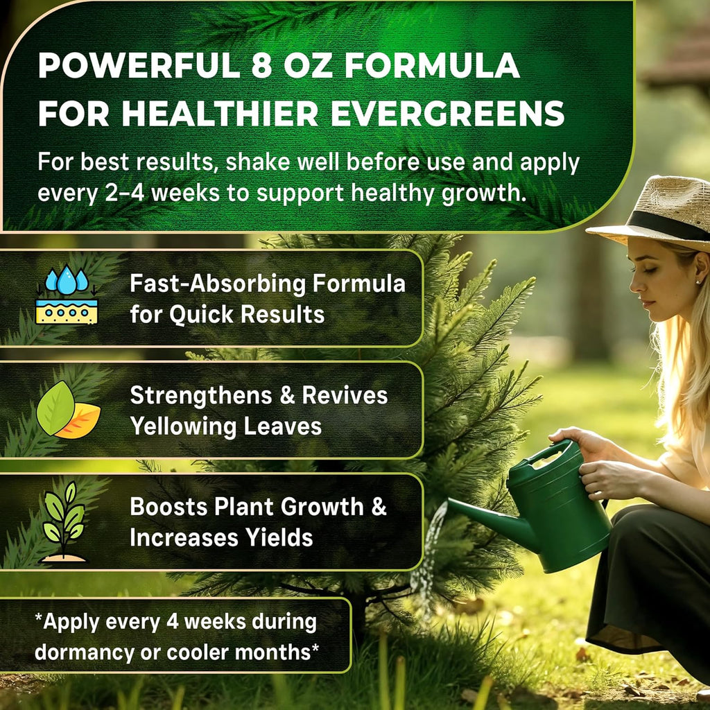Leaves and Soul Professional Evergreen Tree Fertilizer Liquid Concentrate - 6-4-6 Blend for Evergreens, Garden Use - Liquid Plant Food for Evergreen Trees and Shrubs Outdoors