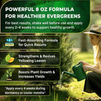 Leaves and Soul Professional Evergreen Tree Fertilizer Liquid Concentrate - 6-4-6 Blend for Evergreens, Garden Use - Liquid Plant Food for Evergreen Trees and Shrubs Outdoors