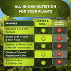 Leaves and Soul Professional Lime Tree Fertilizer Liquid Concentrate - 6-4-6 Blend for Fruit Tree Fertilizer, Garden - Liquid Plant Food for Lime Trees in Pots or Outdoors