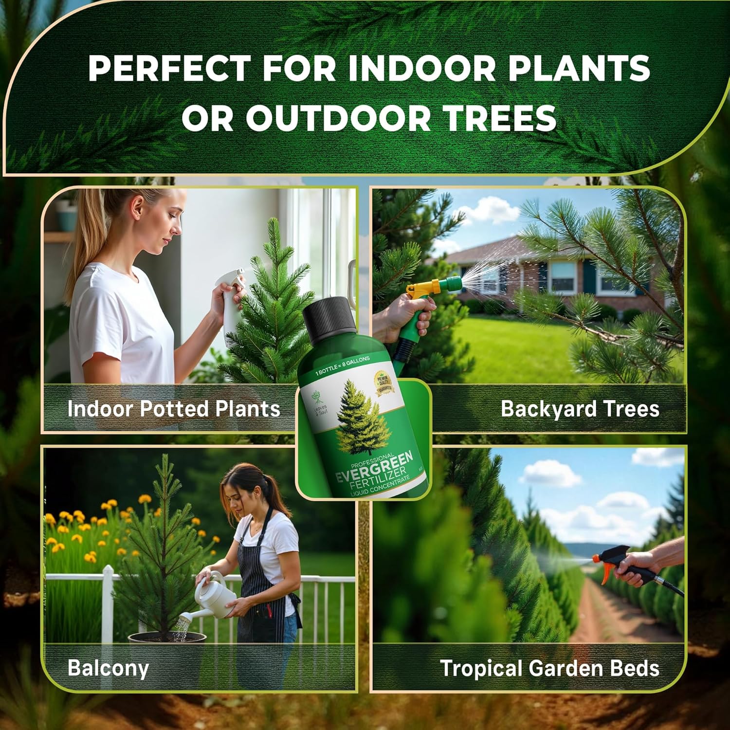 Leaves and Soul Professional Evergreen Tree Fertilizer Liquid Concentrate - 6-4-6 Blend for Evergreens, Garden Use - Liquid Plant Food for Evergreen Trees and Shrubs Outdoors