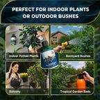 Leaves and Soul Professional Blueberry Fertilizer Liquid Concentrate - 6-4-6 Blend Liquid Garden Fertilizer for Blueberry - Plant Food for Blueberry Bushes and Plants