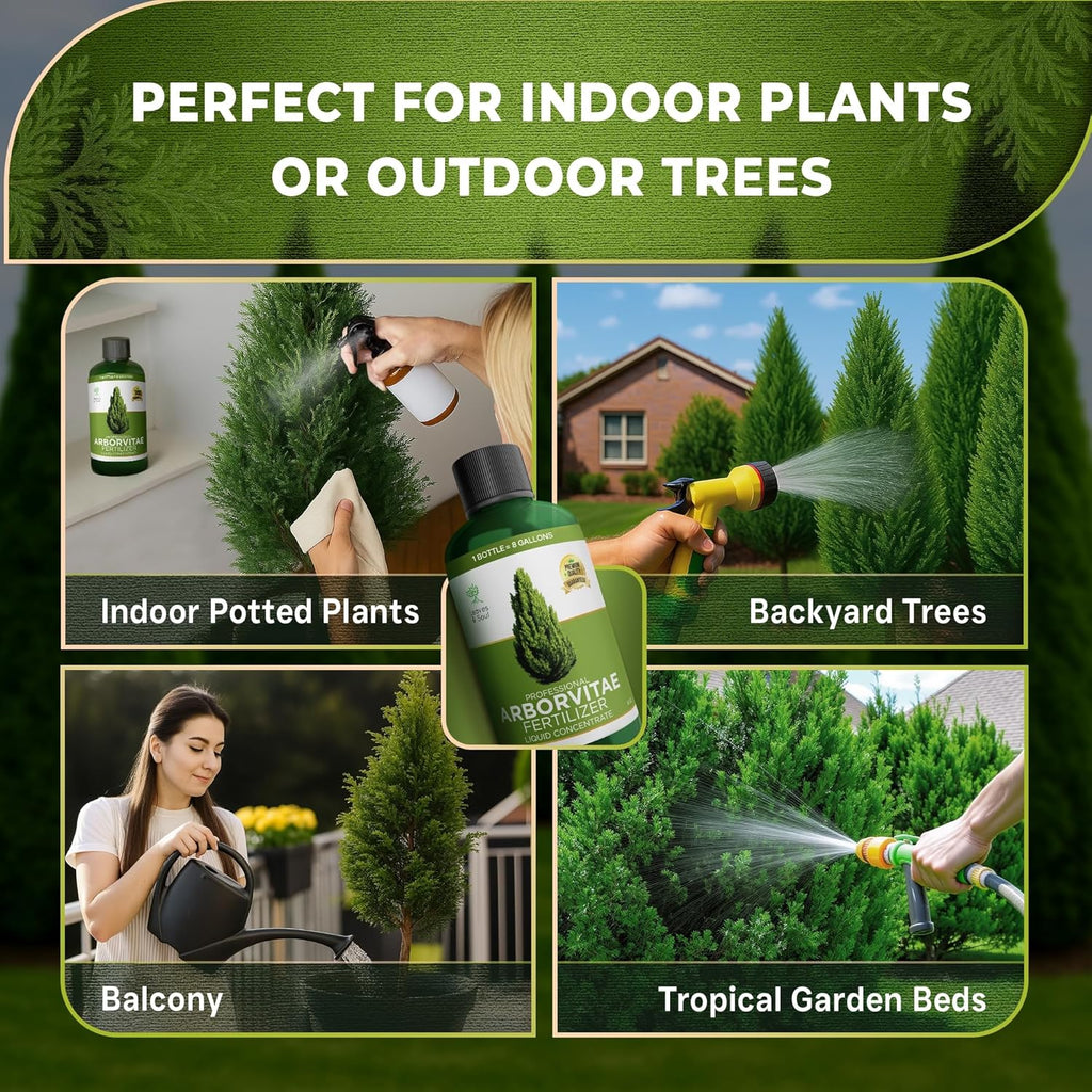 Leaves and Soul Professional Arbor Vitae Tree Fertilizer Liquid Concentrate - 6-4-6 Blend for Arbor Vitae, Garden Use - Liquid Plant Food for Arbor Vitae Trees and Shrubs Outdoors