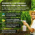 Leaves and Soul Professional Lime Tree Fertilizer Liquid Concentrate - 6-4-6 Blend for Fruit Tree Fertilizer, Garden - Liquid Plant Food for Lime Trees in Pots or Outdoors