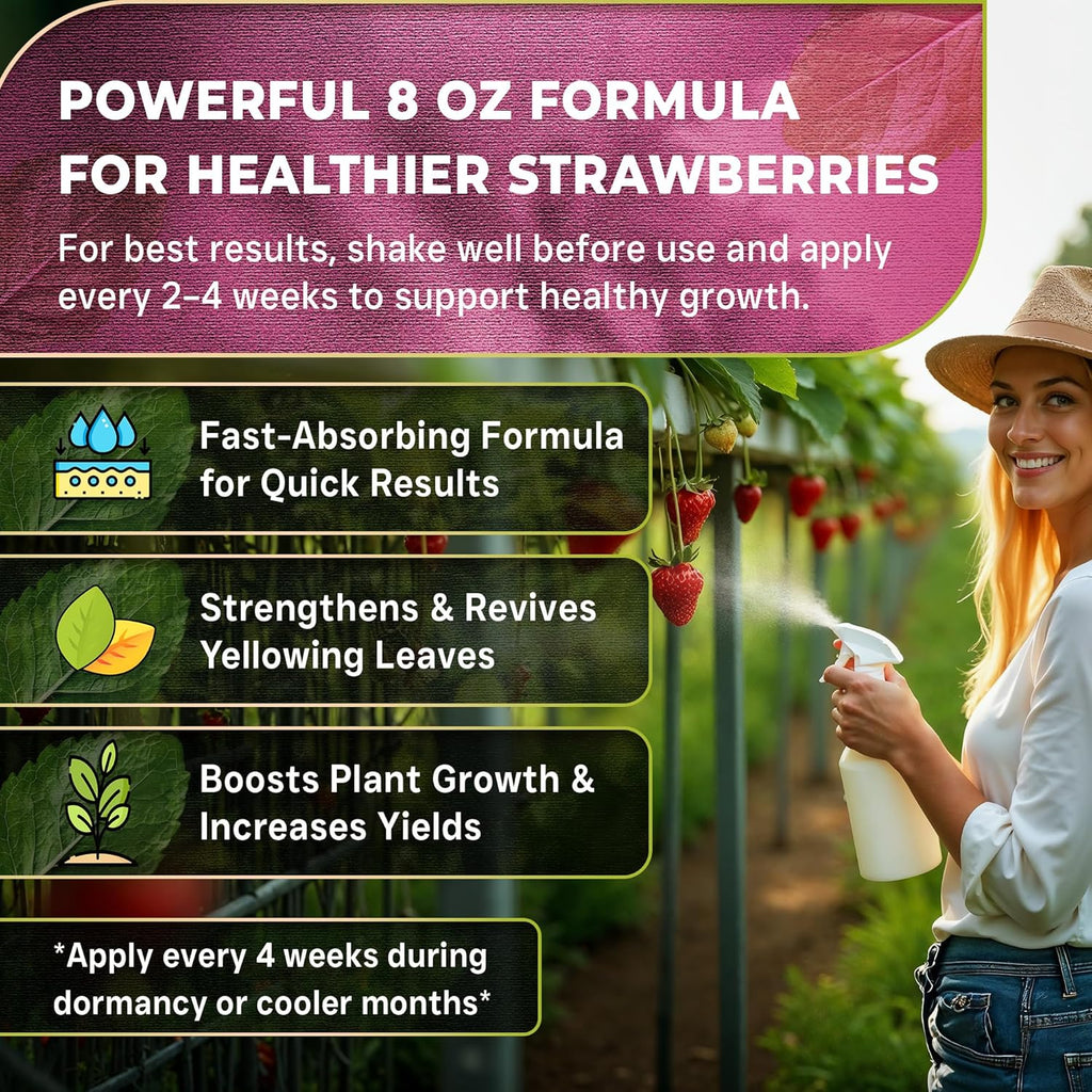 Leaves and Soul Professional Strawberry Fertilizer Liquid Concentrate - 6-4-6 Blend Liquid Garden Fertilizer for Strawberries - Plant Food for Strawberry Bushes and Plants