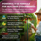 Leaves and Soul Professional Strawberry Fertilizer Liquid Concentrate - 6-4-6 Blend Liquid Garden Fertilizer for Strawberries - Plant Food for Strawberry Bushes and Plants