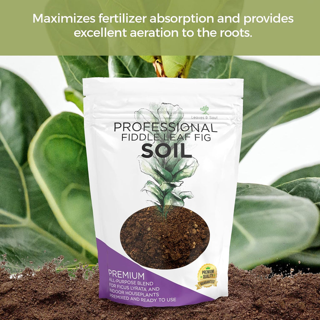 Premium Fiddle Leaf Fig and House Plant Soil All Purpose Blend | Pre-mixed 2.2 and 8.2 Dry Quarts
