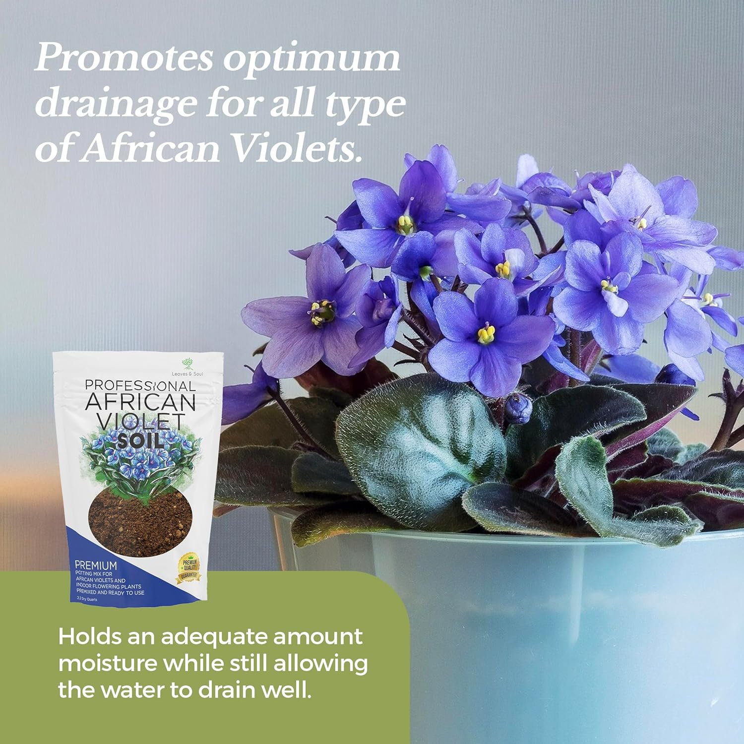 Professional African Violet Plant Soil | Pre-mixed 2.2 Dry Quarts