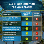 Leaves and Soul Professional Palm Tree Fertilizer Liquid Concentrate - 6-4-6 Blend for Tropical Plant Fertilizer, Garden Use - Liquid Plant Food for Palm Trees and Bushes Outdoors