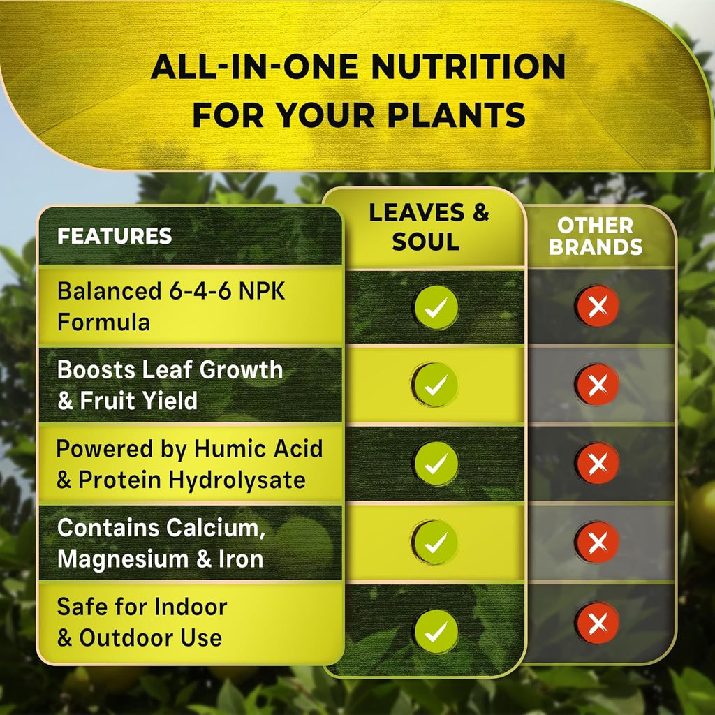 Leaves and Soul Professional Lemon Tree Fertilizer Liquid Concentrate - 6-4-6 Blend for Fruit Tree Fertilizer, Garden - Liquid Plant Food for Lemon Trees in Pots or Outdoors