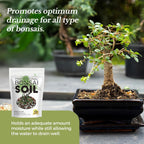 Premium Bonsai Soil All Purpose Blend | Pre-mixed 2.2 and 8.2 Dry Quarts
