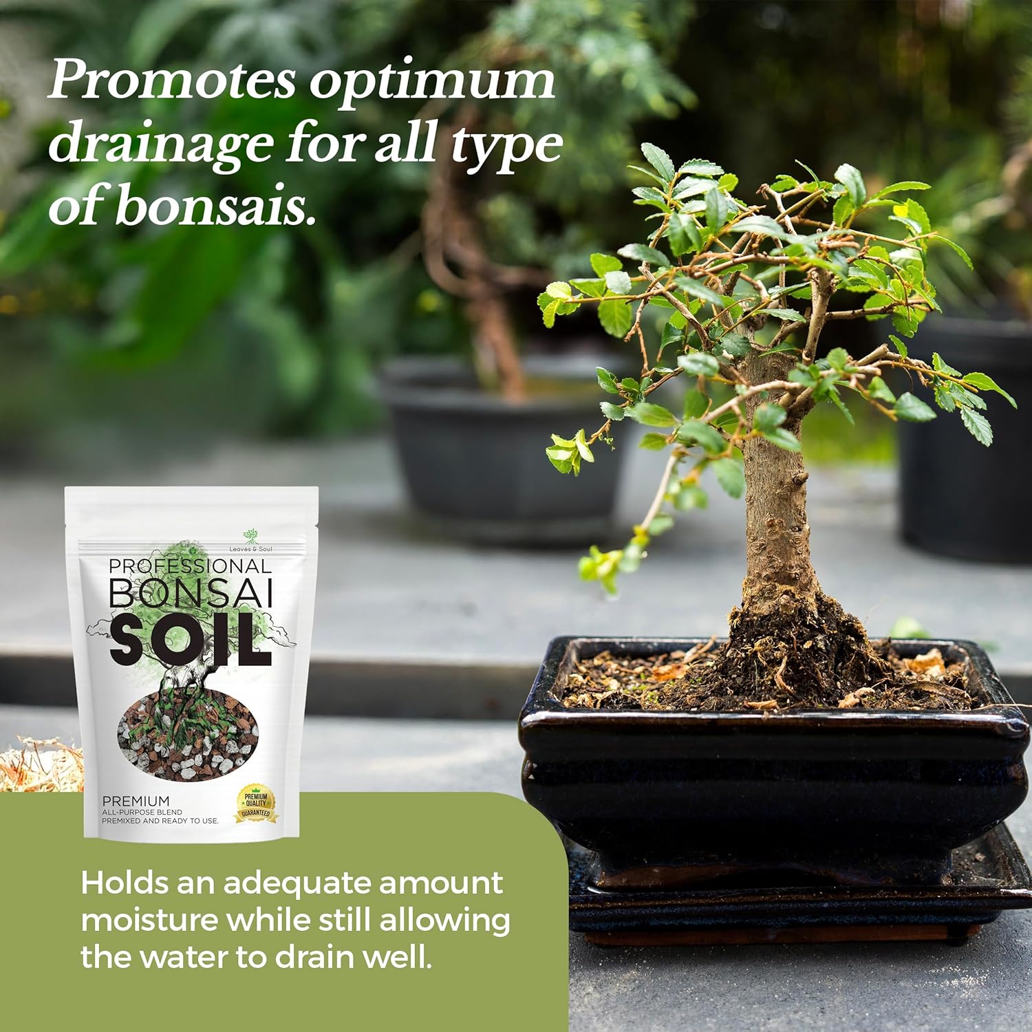 Premium Bonsai Soil All Purpose Blend | Pre-mixed 2.2 and 8.2 Dry Quarts