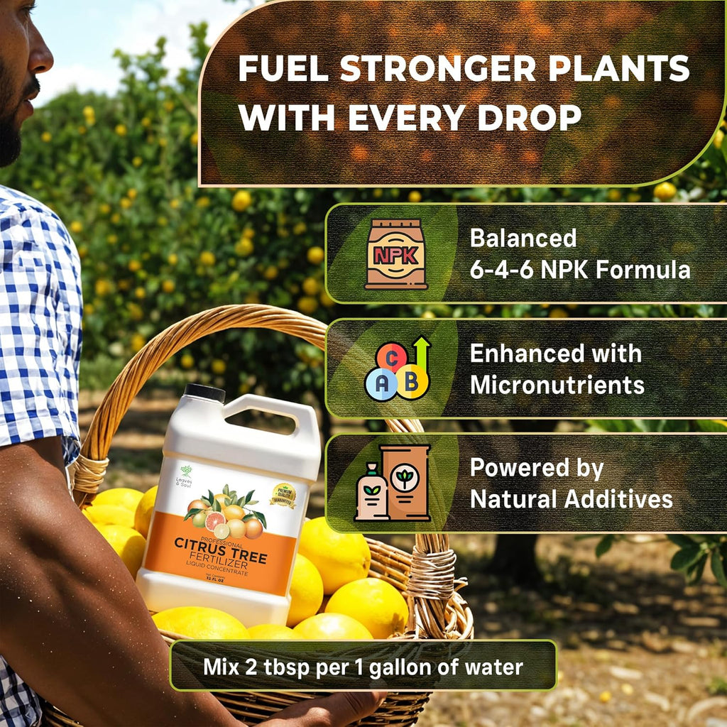 Leaves and Soul Professional Citrus Tree Fertilizer Liquid Concentrate - 6-4-6 Blend for Fruit Tree Fertilizer, Garden - Liquid Plant Food for Citrus Trees in Pots or Outdoors
