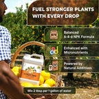 Leaves and Soul Professional Citrus Tree Fertilizer Liquid Concentrate - 6-4-6 Blend for Fruit Tree Fertilizer, Garden - Liquid Plant Food for Citrus Trees in Pots or Outdoors