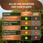 Leaves and Soul Professional Citrus Tree Fertilizer Liquid Concentrate - 6-4-6 Blend for Fruit Tree Fertilizer, Garden - Liquid Plant Food for Citrus Trees in Pots or Outdoors